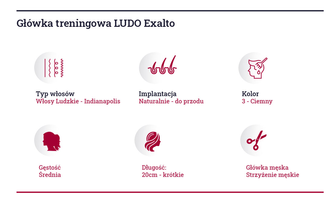 LUDO Exalto